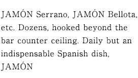 Jamón Serrano, Jamón Bellota, etc. Dozens, hooked beyond the bar counter ceiling. Daily but an indispensable Spanish dish, Jamón